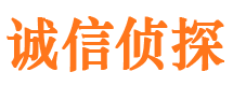 东西湖找人公司